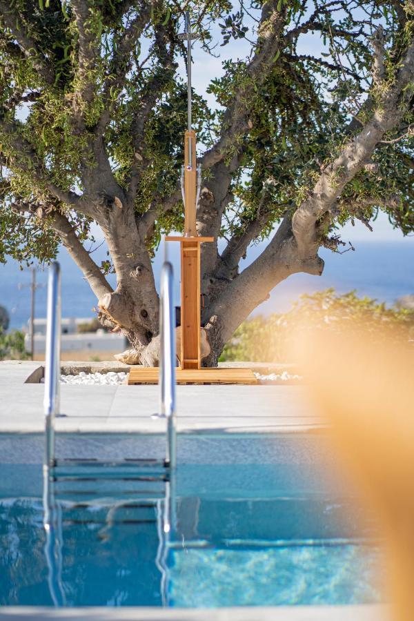 Villa Santa Marina Syros à Liaropá Extérieur photo